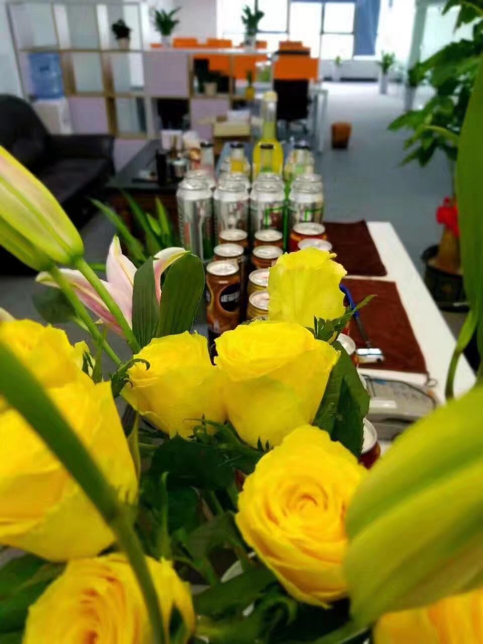 正航儀器(深圳)分公司前臺區